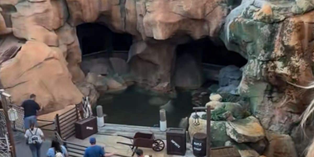 A censored image of a boy after climbing a fence and hopping into a pond at EPCOT