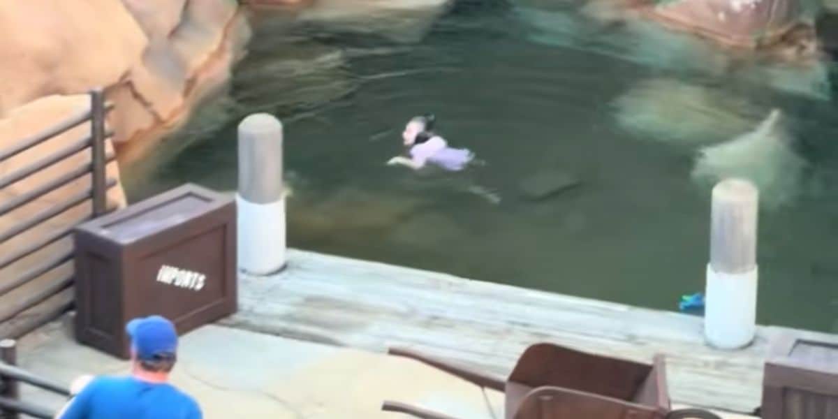 A guest swimming in a pond area in the Canada World Showcase Pavilion at EPCOT.