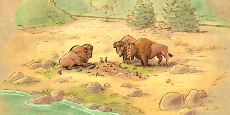 Bison and prairie dogs interact on a Yellowstone National Park landscape, with grassy plains, rocks, and nearby water.