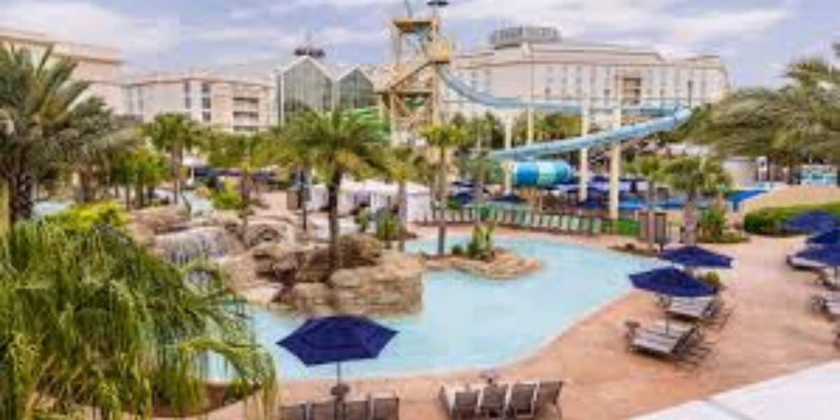 Resort-style pool with palm trees, waterslides, and lounge chairs next to hotel towers, perfect for family fun and relaxation.