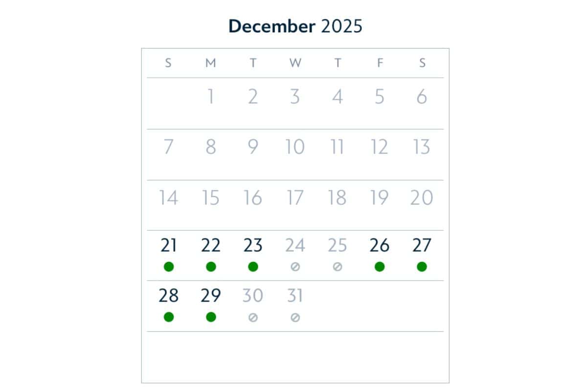 Incredi Pass holders cannot visit Magic Kingdom Park on Christmas Eve 