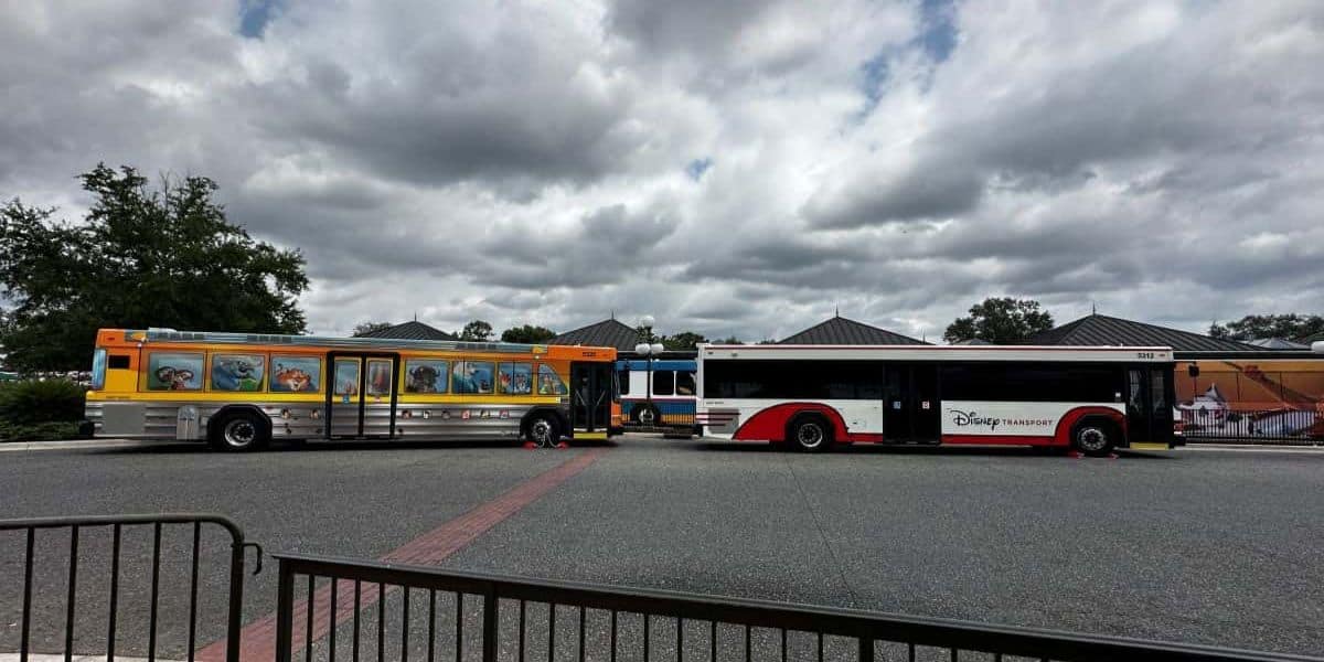 Two Walt Disney World Resort transportation buses parked outside Magic Kingdom