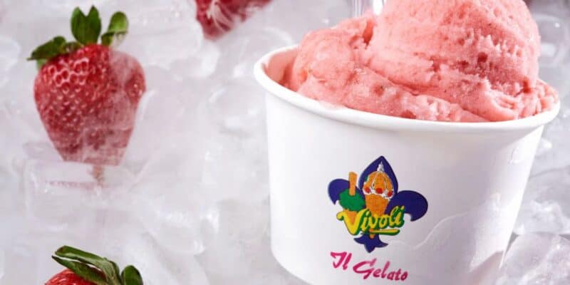 Strawberry gelato topped with fresh berries and Vivoli Il Gelato logo on ice—your Disney Springs must-try, near guest seating!.