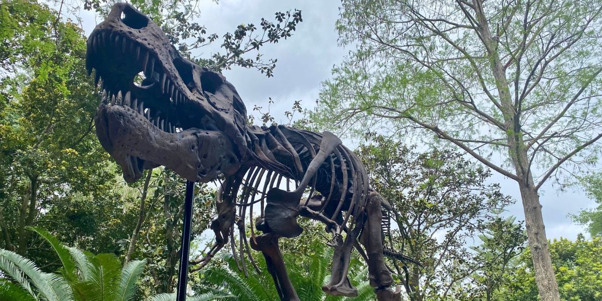 T. rex skeleton at Jurassic World, showcased outdoors amid vibrant greenery for an exciting prehistoric adventure.