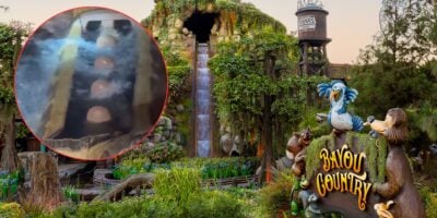 Bayou Country entrance sign features lively animated animals and the signature log flume; inset highlights guests on the ride.