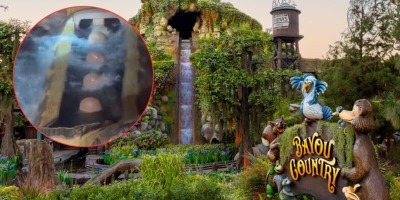 Bayou Country entrance sign features lively animated animals and the signature log flume; inset highlights guests on the ride.