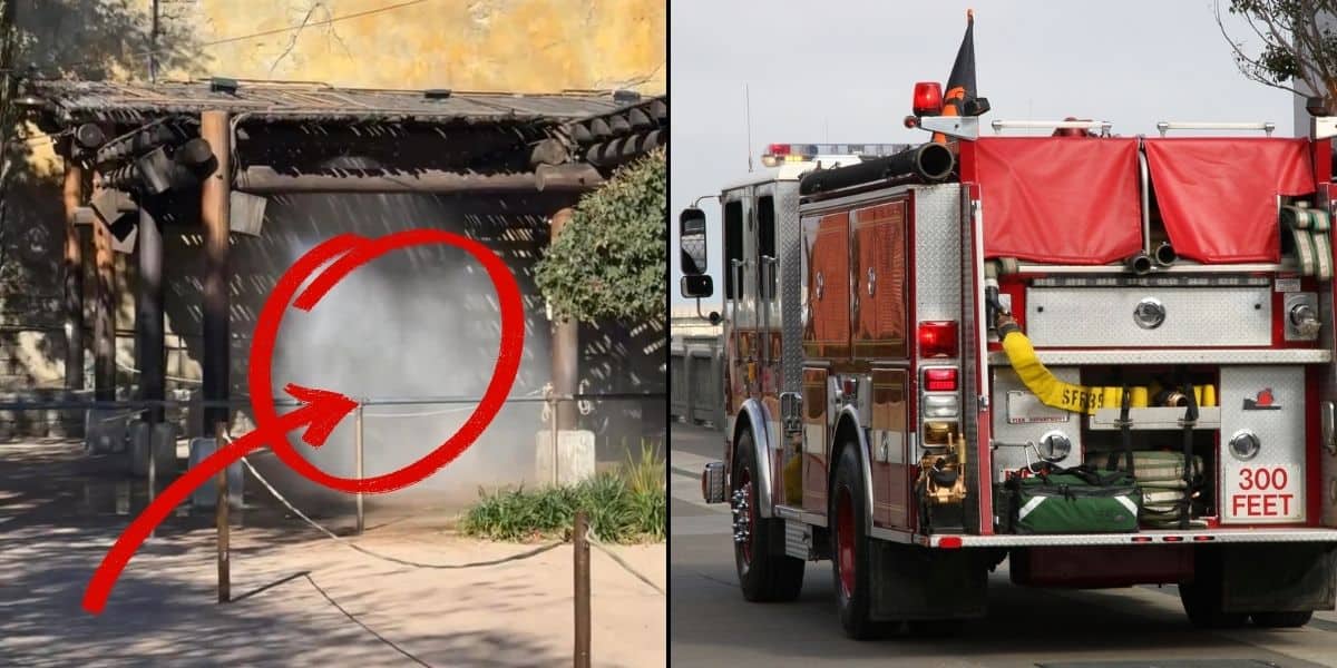 Fire Breaks Out Inside Disney World, Prompting a Swift Evacuation as Red Flag Warning Continues