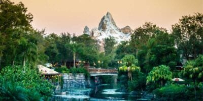Expedition Everest and foliage at Disney's Animal Kingdom theme park