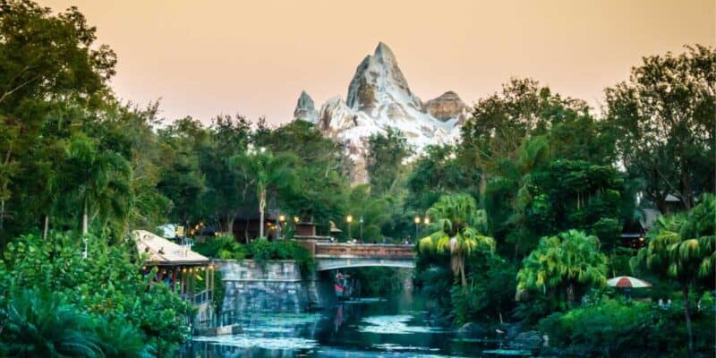 Expedition Everest and foliage at Disney's Animal Kingdom theme park