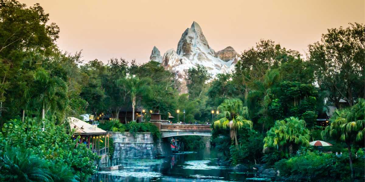 Expedition Everest and foliage at Disney's Animal Kingdom theme park