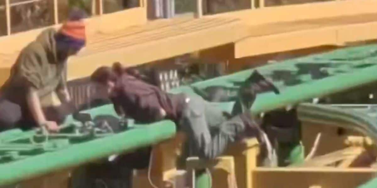Employees Seen Playing on Roller Coaster Tracks at Busch Gardens