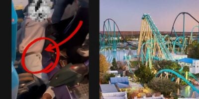 Left: Rider’s seatbelt looks unfastened on a thrill ride; Right: vibrant roller coaster soaring at SeaWorld Orlando Park's Mako roller coaster. Orlando theme park incident.