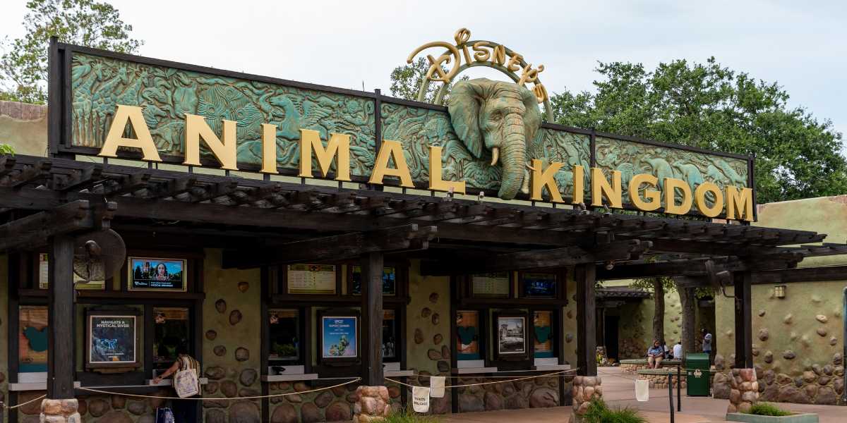 The entrance to Disney World's Animal Kingdom theme park