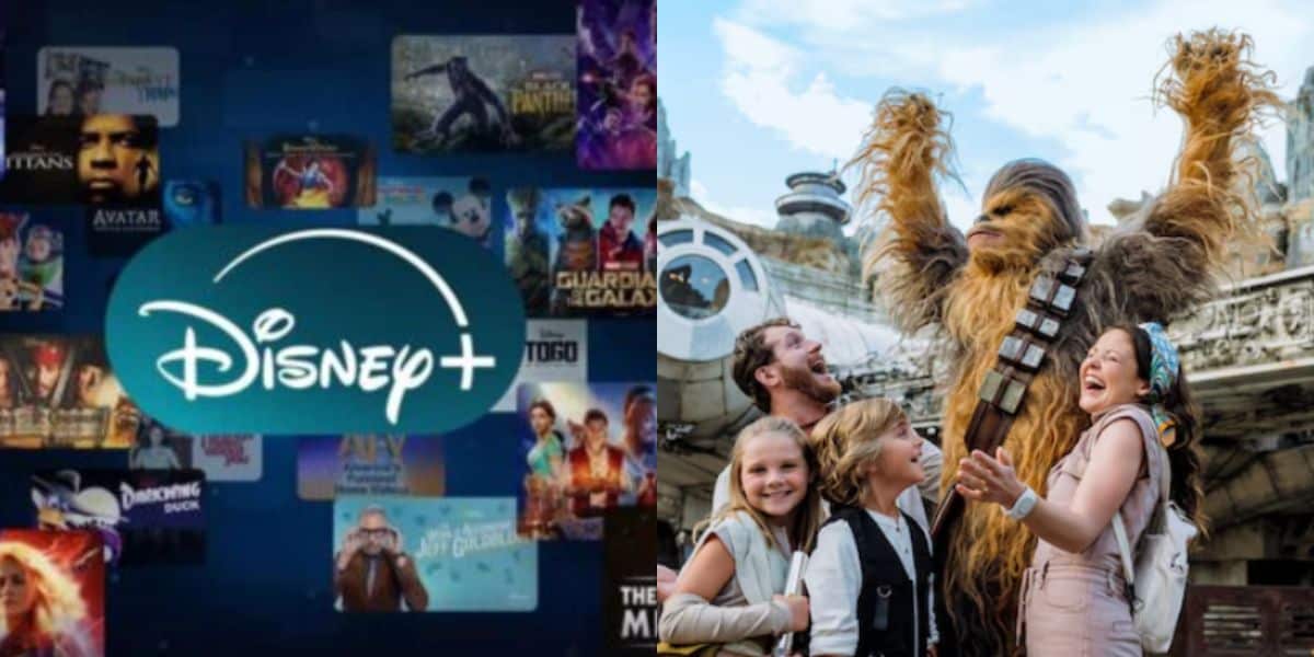 split image: on the left, the Disney+ logo with movies behind it. on the right, guests with Chewy in Galaxy's Edge in Disney's Hollywood Studios