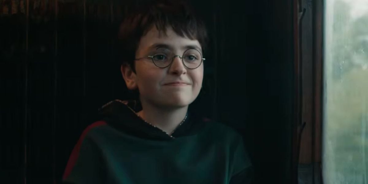 Harry Potter on the Hogwarts Express