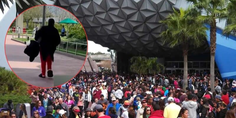 man dressed as mickey mouse