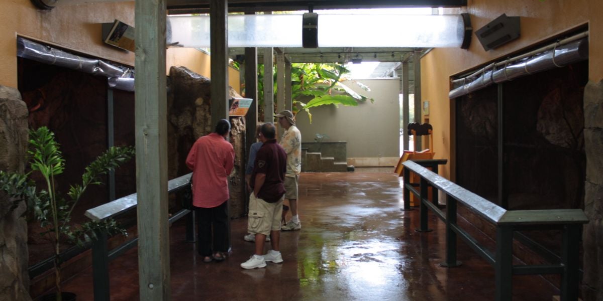 Guests looking in exhibits at Zoo Miami