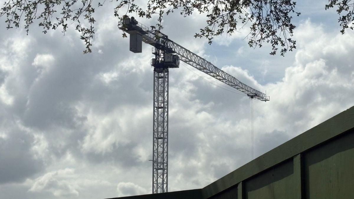 Crane working on Tropical Americas at Disney's Animal Kingdom