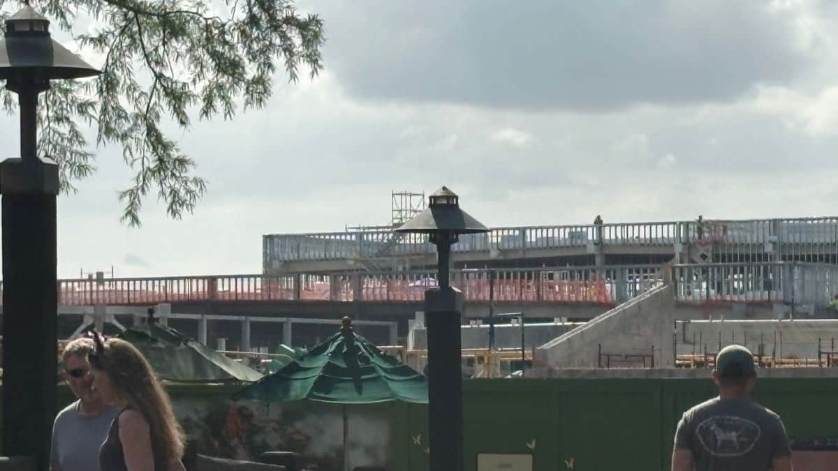 work on Tropical Americas at Animal Kingdom