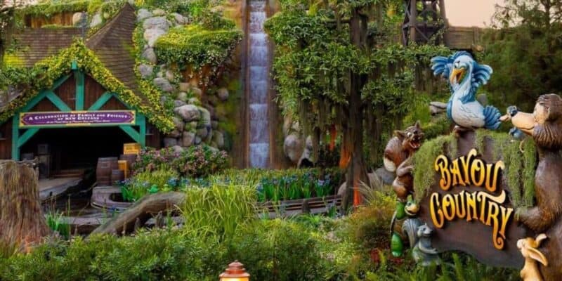 The Bayou Country entrance at Disneyland Park.