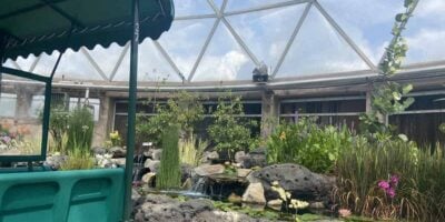 A boat in the greenhouse on Living with the Land.