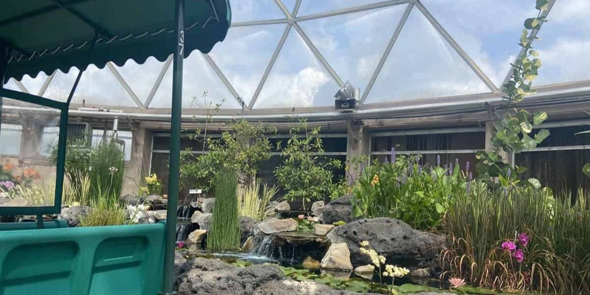 A boat in the greenhouse on Living with the Land.