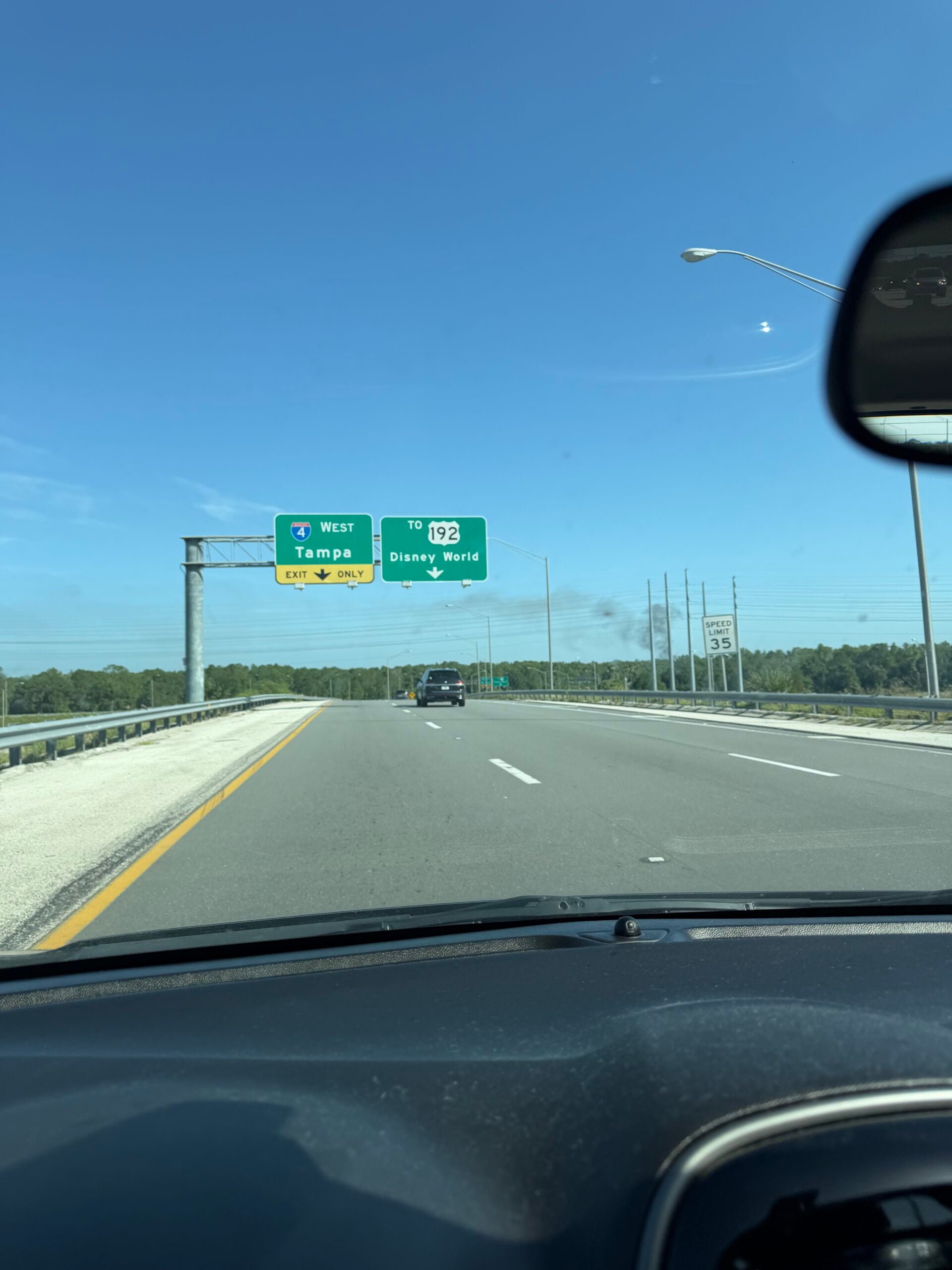A photo of what appears to be black smoke rising from within Walt Disney World Resort.