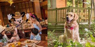 Mickey Mouse with kids in a restaurant at Hong Kong Disneyland (left), a dog at Disney's Davy Crockett Ranch (right)