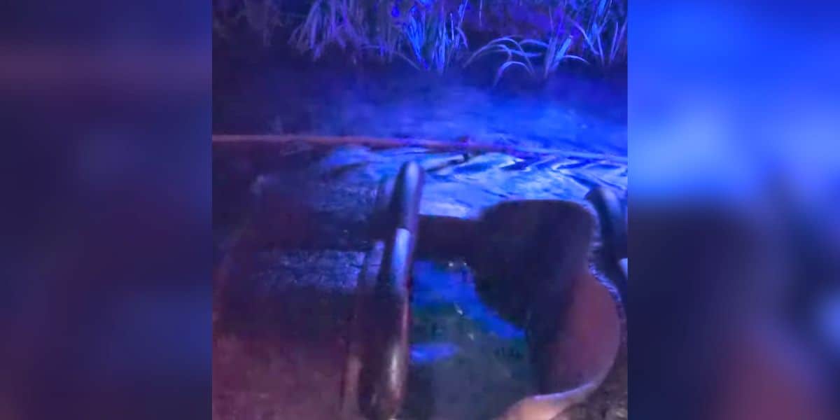 A sinking boat on Tiana's Bayou Adventure