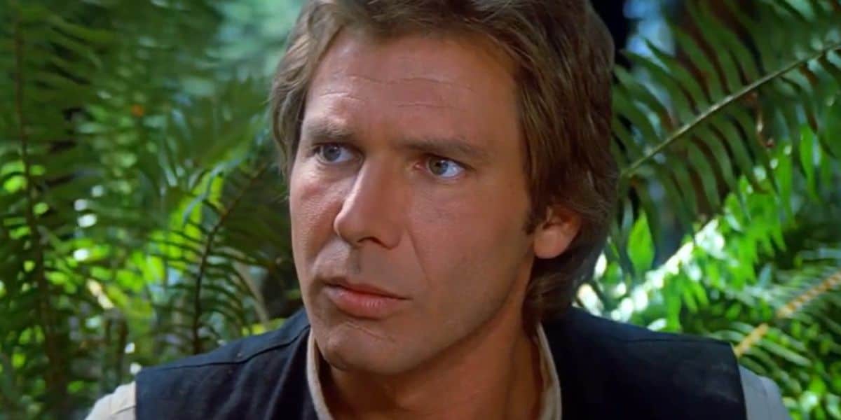
		Comment on Lucasfilm Officially Remaking ‘Star Wars: A New Hope’ as Limited Series in 2027 by Nancy		