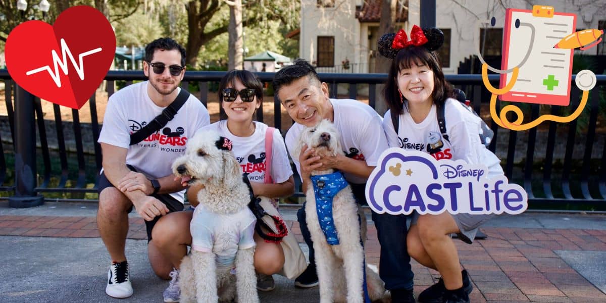 Disney Anuncia Novas Medidas de Saúde e Segurança para Seus Funcionários com Vigência a Partir de 2027