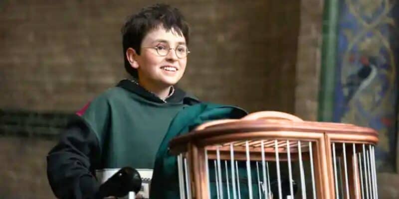 Dominic McLaughlin as Harry Potter pushing his Hogwarts trolley