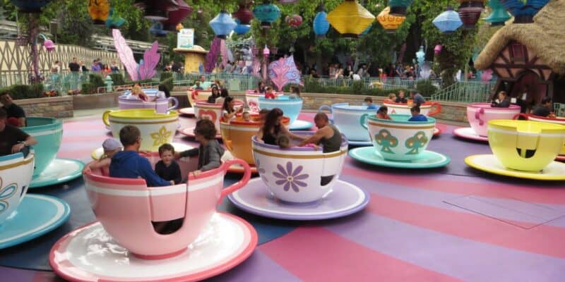 Guests on Mad Tea Party at Disneyland