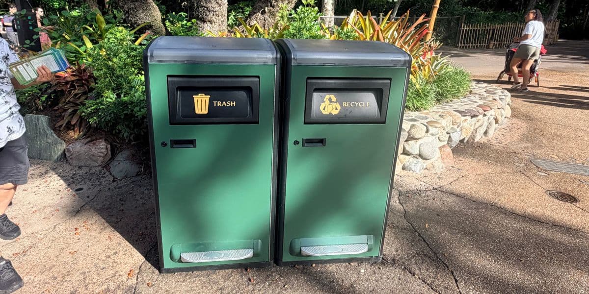 animal kingdom trash can