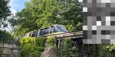 Two Alton Towers Resort monorail trains stopped facing one another during the reported September 19, 2026 incident.