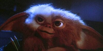 A close-up of Gizmo from Gremlins (1984) film