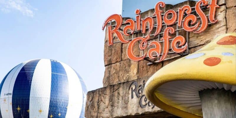 Rainforest Cafe sign set against a rugged rock wall, with colorful themed decor including a striped hot air balloon and an oversized yellow mushroom creating an immersive, adventure-filled atmosphere.