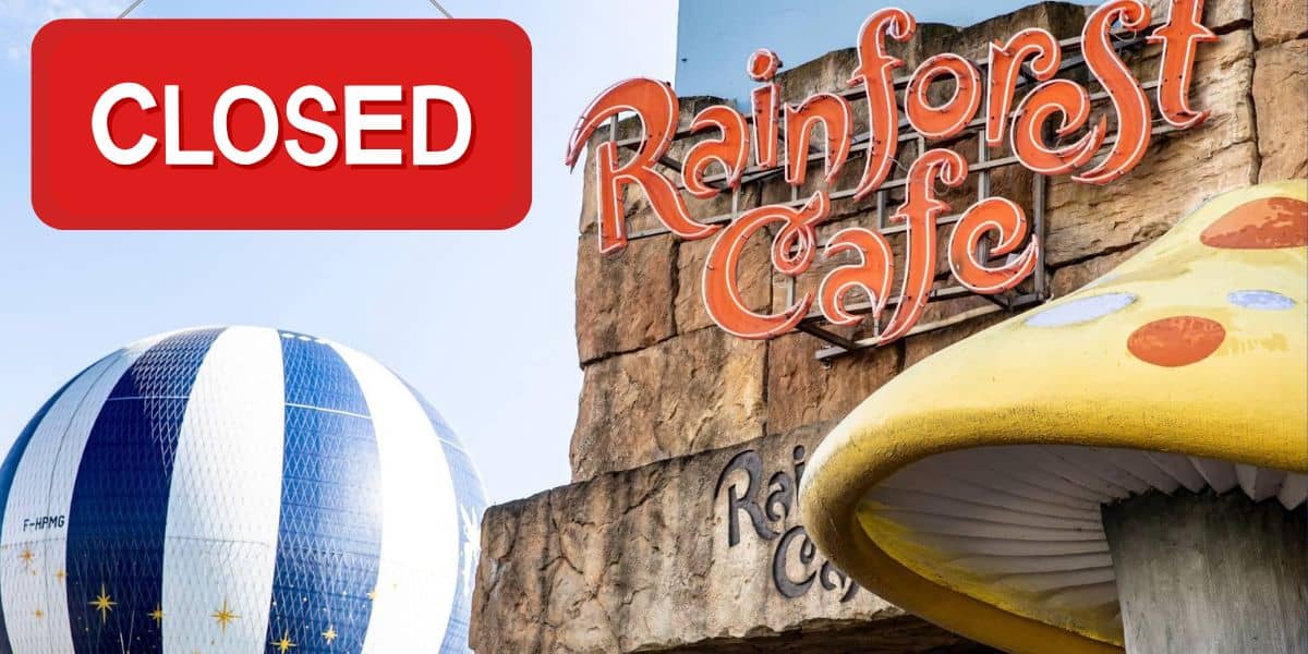 Rainforest Cafe at Disney Springs stands closed, its vibrant decor and signature blue striped balloon still on display, inviting memories of the themed dining adventure.