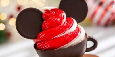 Mickey-shaped red and white swirl soft serve in a chocolate cup, a festive treat at Disney World.