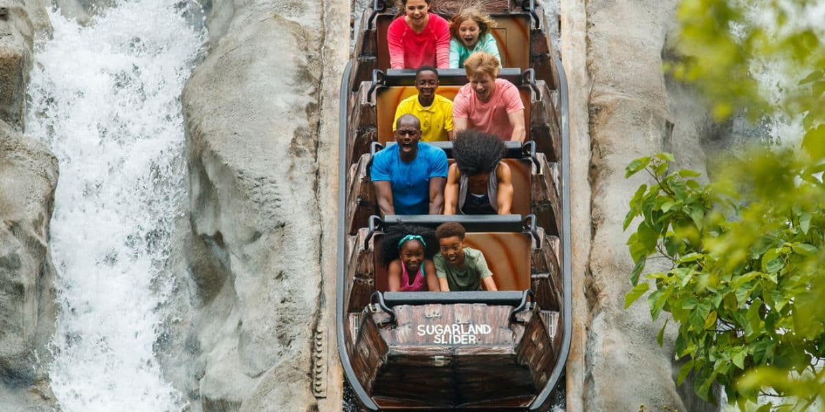 Guests enjoying Daredevil Falls