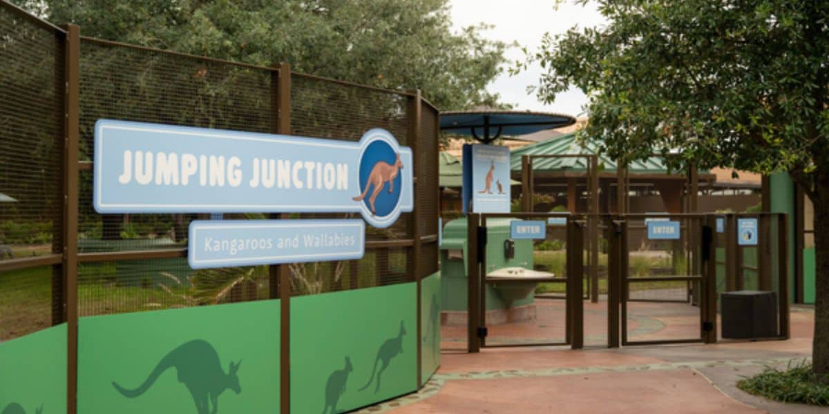 Entrance to the Jumping Junction kangaroo and wallaby exhibit at Disney’s Animal Kingdom.